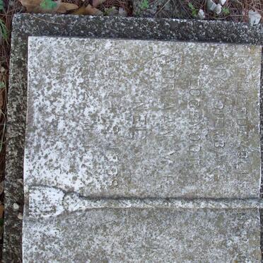 NEL Adriaan M.E. 18??-??