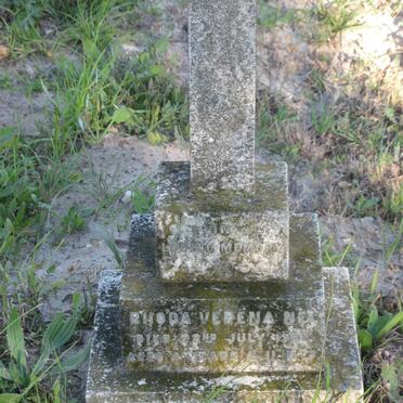 NEL Rhoda Verena -1902