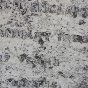 NEAR William C. -1899 