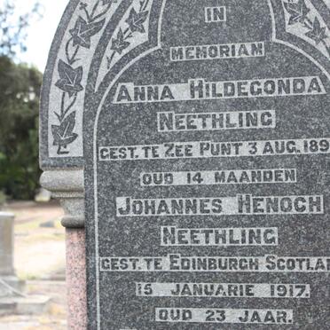 NEETHLING :: SIEBERT :: HOFMEYR