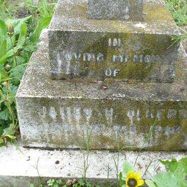 O - Surnames :: Vanne - O