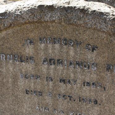 PENTZ Cornelis Adrianus 1883-1939