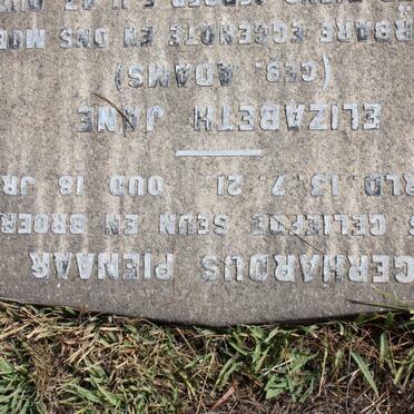 PIENAAR :: STEENKAMP :: ADAMS :: HAARHOFF