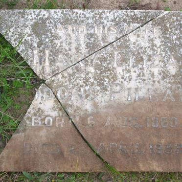 PILLANS Mary Eliza ?dons 1860-1952