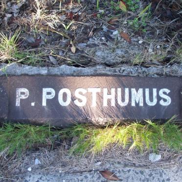 POSTHUMUS P.