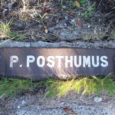 POSTHUMUS P.