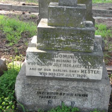 PREGNOLATO Dominico -1926 &amp; Hester -1912 ::  PREGNOLATO Hester -1920