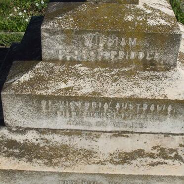 PRIDDLE William George  -1895