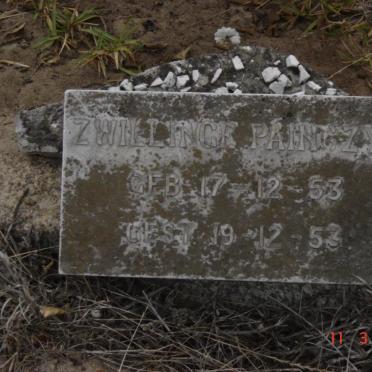 PAINGZYK  Zwillinge 1953-1953