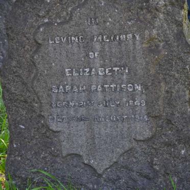 PATTISON Elizabeth Sarah 1849-1919