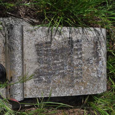 REECE Percy 1900-19??