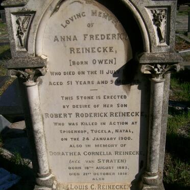 REINECKE :: OWEN :: VAN STRATEN :: VAN NOORDEN