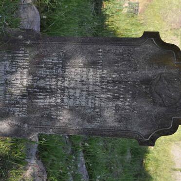 REID Phillip Andrew -1938 &amp; Isabella SCHOLTZ -1934 :: REID Wilhelmina Johanna 1894-1921 :: REID Ernest William John