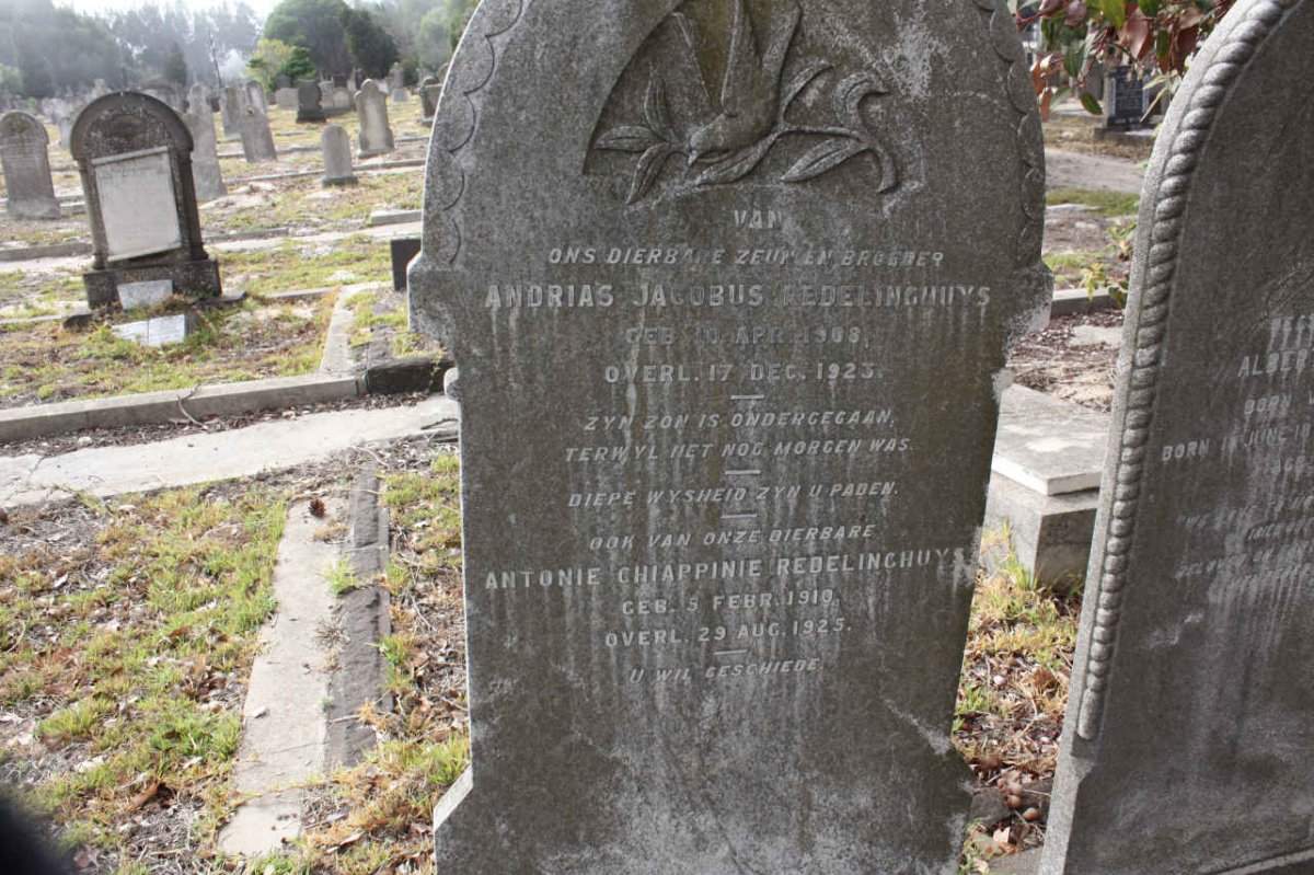 REDELINGHUYS Andrias Jacobus 1908-1923 :: REDELINGHUYS Antonie Chiappini 1910-1925