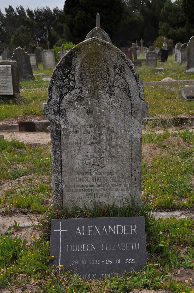 RILEY George Matio 1830-1905 &amp; Fredrica Regina ECKARD 1840-1903 :: ALEXANDER Doreen Elizabeth 1936-1995