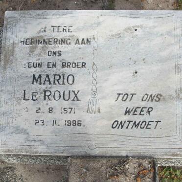 ROUX Mario, le 1971-1986