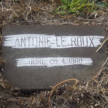 ROUX Antonie, le -1960