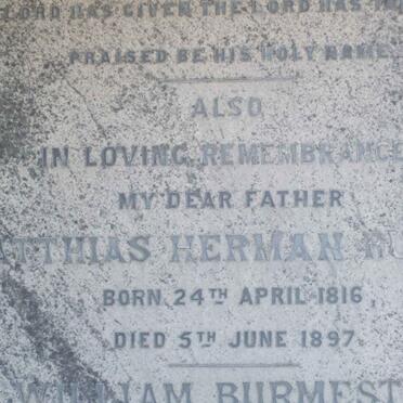 ROSE :: RUSSA :: BURMEISTER