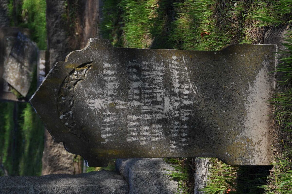 STEWART Olive 1920-1925