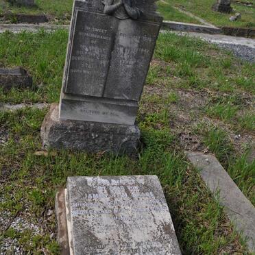 STACE James Tom -1950 &amp; Dorothy Mary WHITAKER -1947