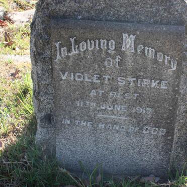 STIRKE Violet -1917