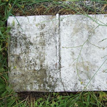 STOLLE Albert Victor 1899-1968