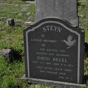 STEYN David Reuel 1963-1979