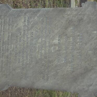 STRUTT Maria -1916 :: STRUTT Percy -1906