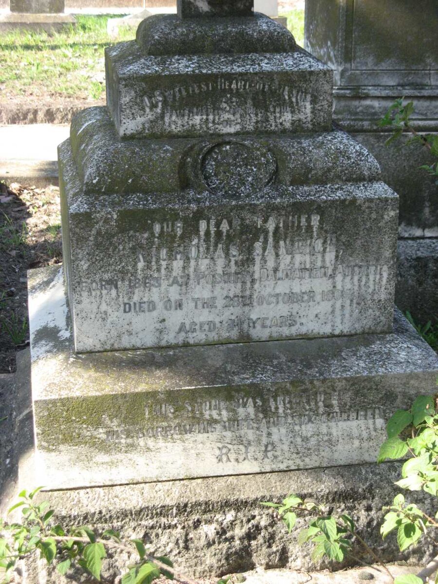 SANTICH Nicholas 1863-1904