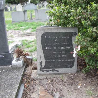 SCHLOMS Joseph 1896-1966