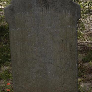 SEELIGER Johan Gottlieb -?? :: SEELIGER Carolina -?? :: ? :: ?