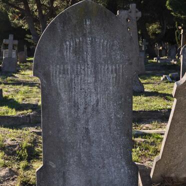 SHANKEY George Ernest 1882-1910