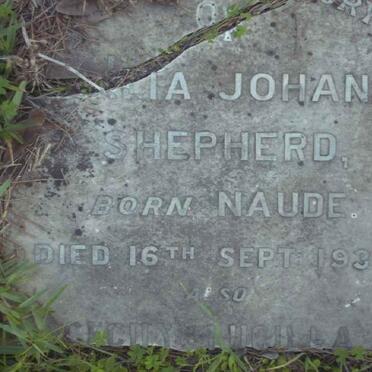SHEPHERD Cecilia Johanna nee NAUDE -1936 :: SHEPHERD Cecily Lucilla -1945