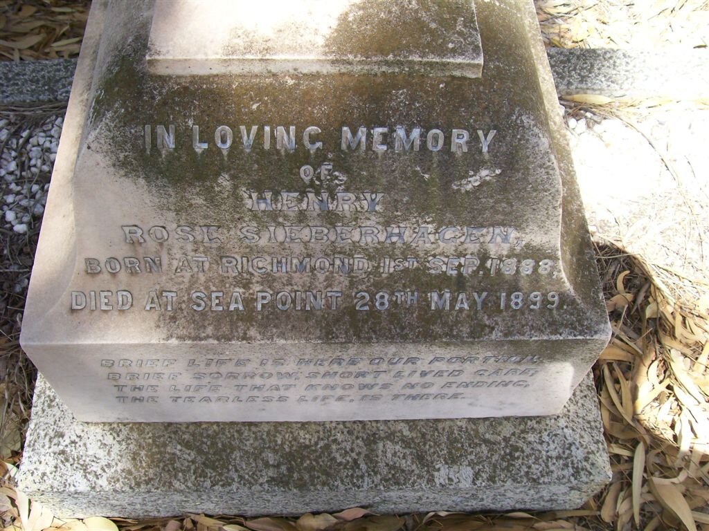 SIEBERHAGEN Henry Rose 1888-1899