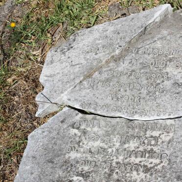 SOLOMON Edward A.R. -1908 &amp; Anna F.V. LUYT  -1910