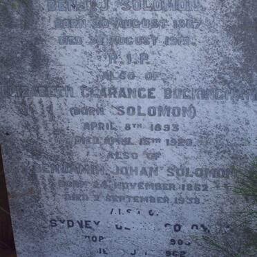 SOLOMON :: HOOGENDOORN :: BUCKINGHAM 