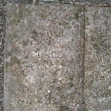 TANNER  ? George Edward 18??-19?0