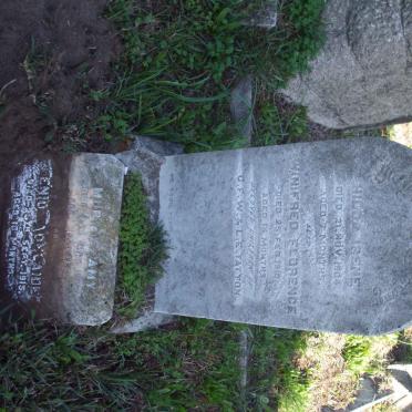 TATTON H. Irene  -1904 :: TATTON Winifred Florence -1910 :: TATTON Muriel Amy -1915 :: TATTON Enid Adelaide  -1915 