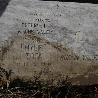 TOFA Ismael 1958-1991