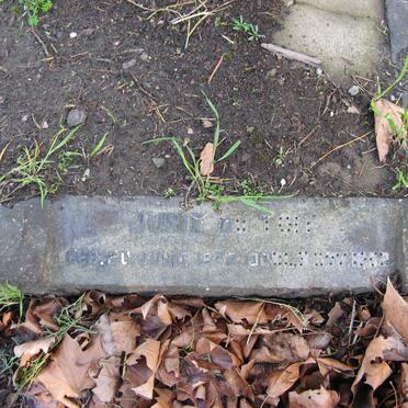 Maitland-Cemetery-1-3118