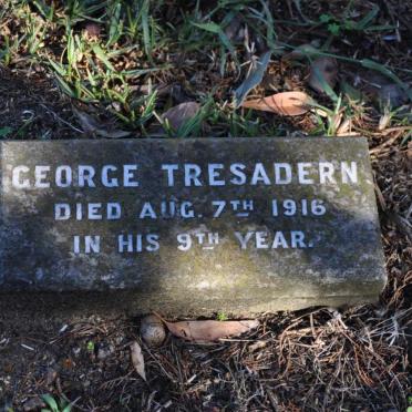 TRESADERN George -1916