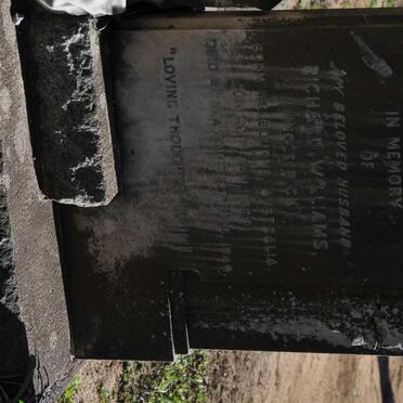 THOMAS William John Henry 1879-1923 :: WILLIAMS Richard 1869-1940