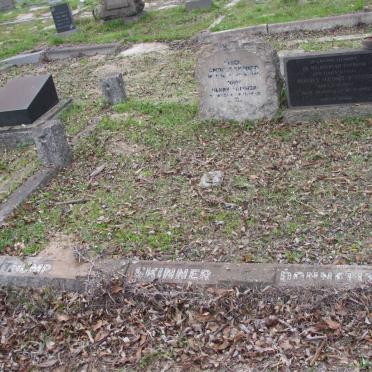 THOMPSON :: SKINNER :: DONNELLY