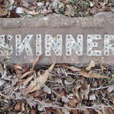 THOMPSON :: SKINNER :: DONNELLY