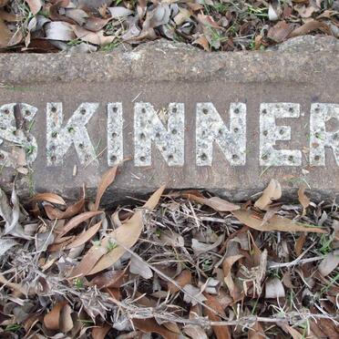 THOMPSON :: SKINNER :: DONNELLY