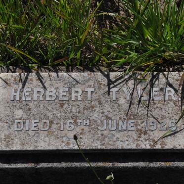 T - Vanne :: Surnames - T