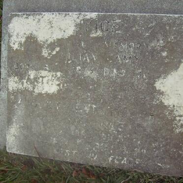 VICE Lilian Amy ??-??