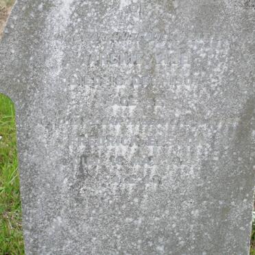 VINE Archie -1907 :: ELSTON Frederick -1925