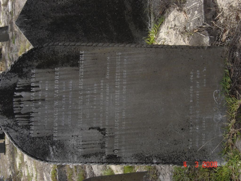 VANDREE :: AUSTERMUHLE  :: SASS