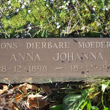 VUUREN Stephanus Johannes Lourens, van 1879-1966 &amp; Anna 1898-1964_1